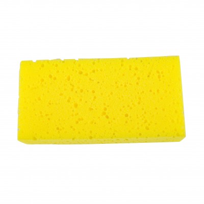  Sponge