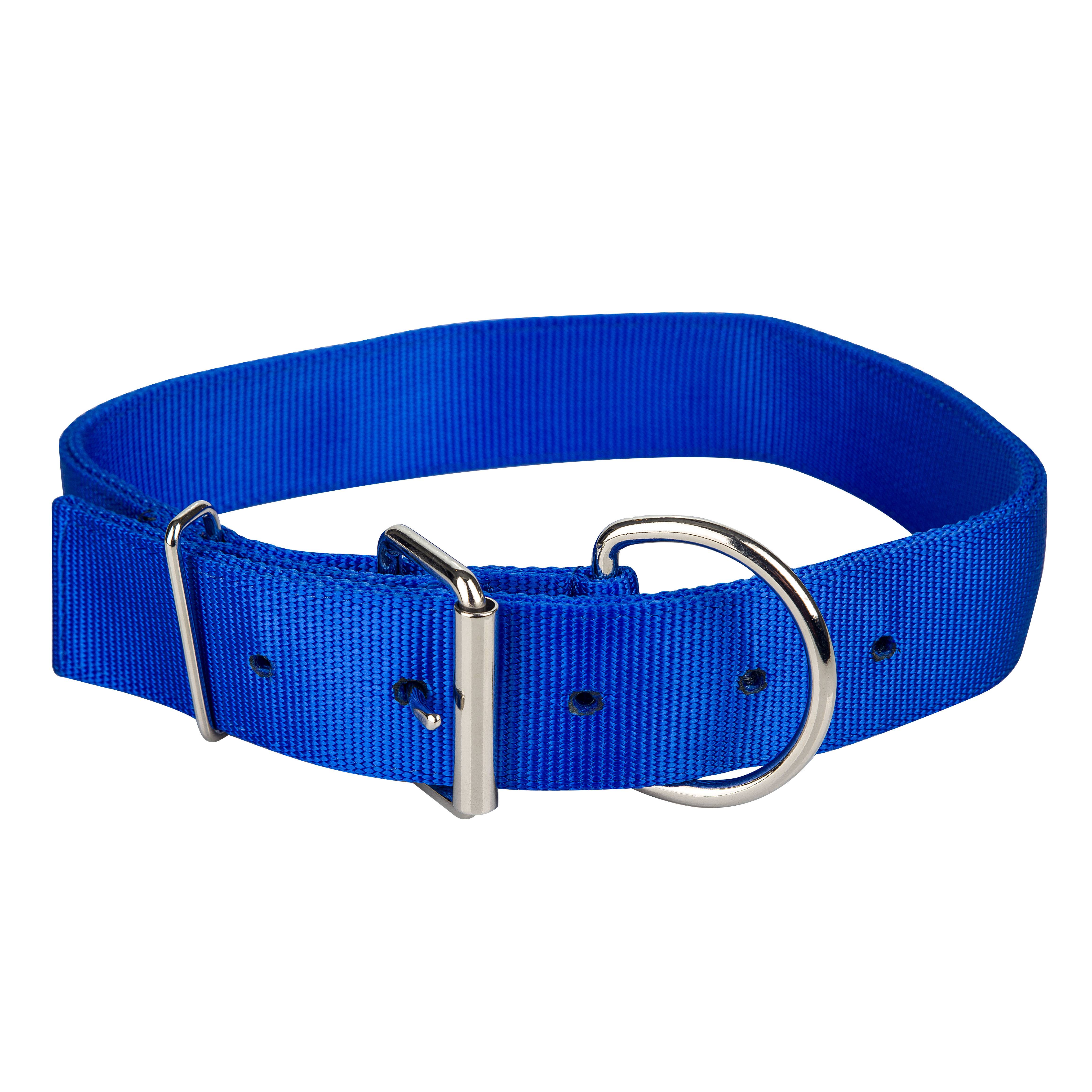 Gatsby Nylon Cattle Collar | GatsbyProducts