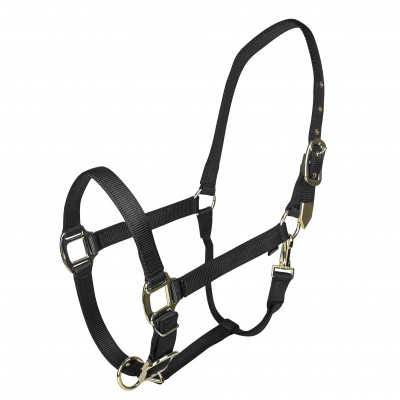  Gold Adjustable Nylon Halter with Snap