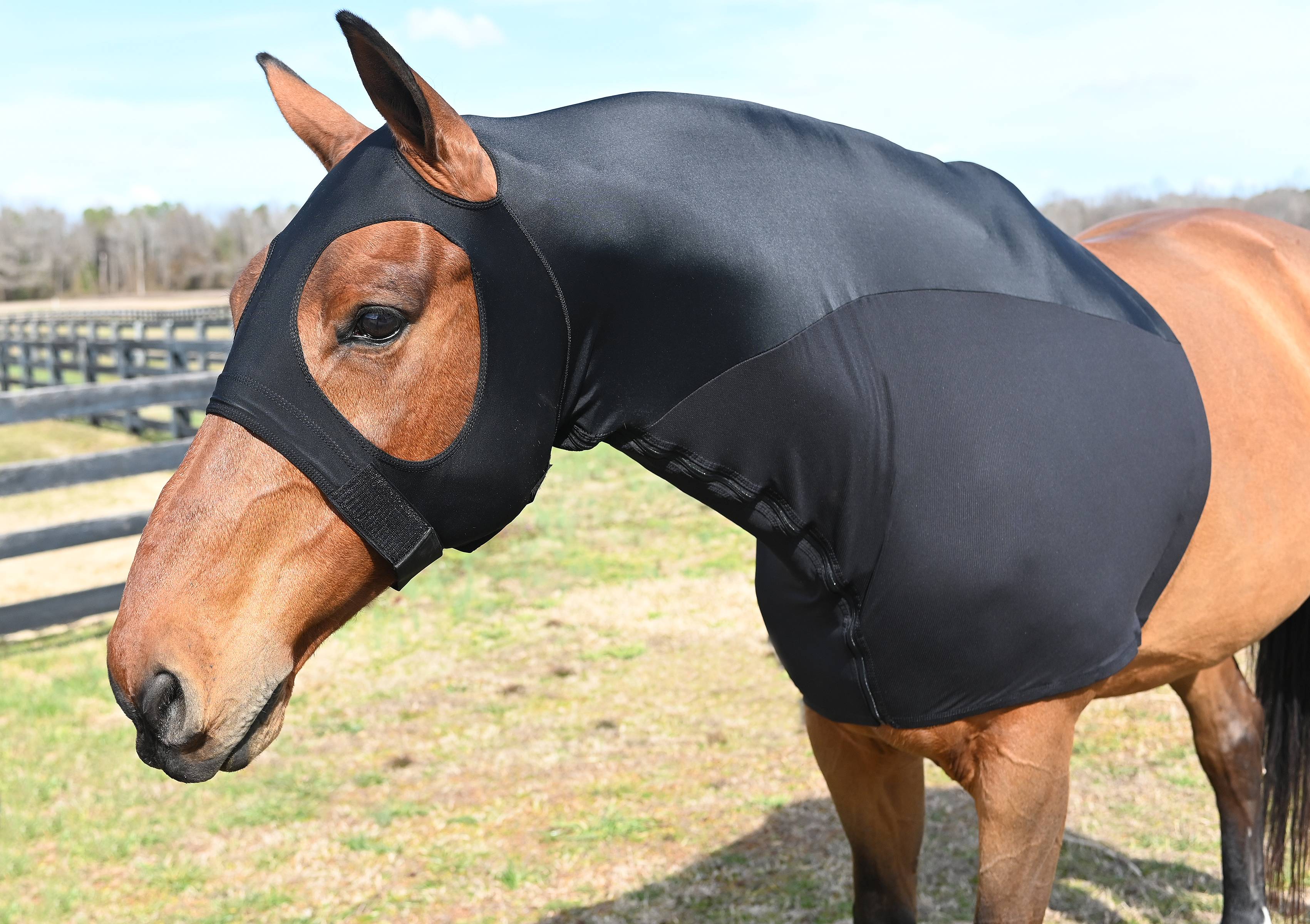 Horse Stretch Hood Full Separating Zip in LARGE Face and Neck Cover HOT PINK 