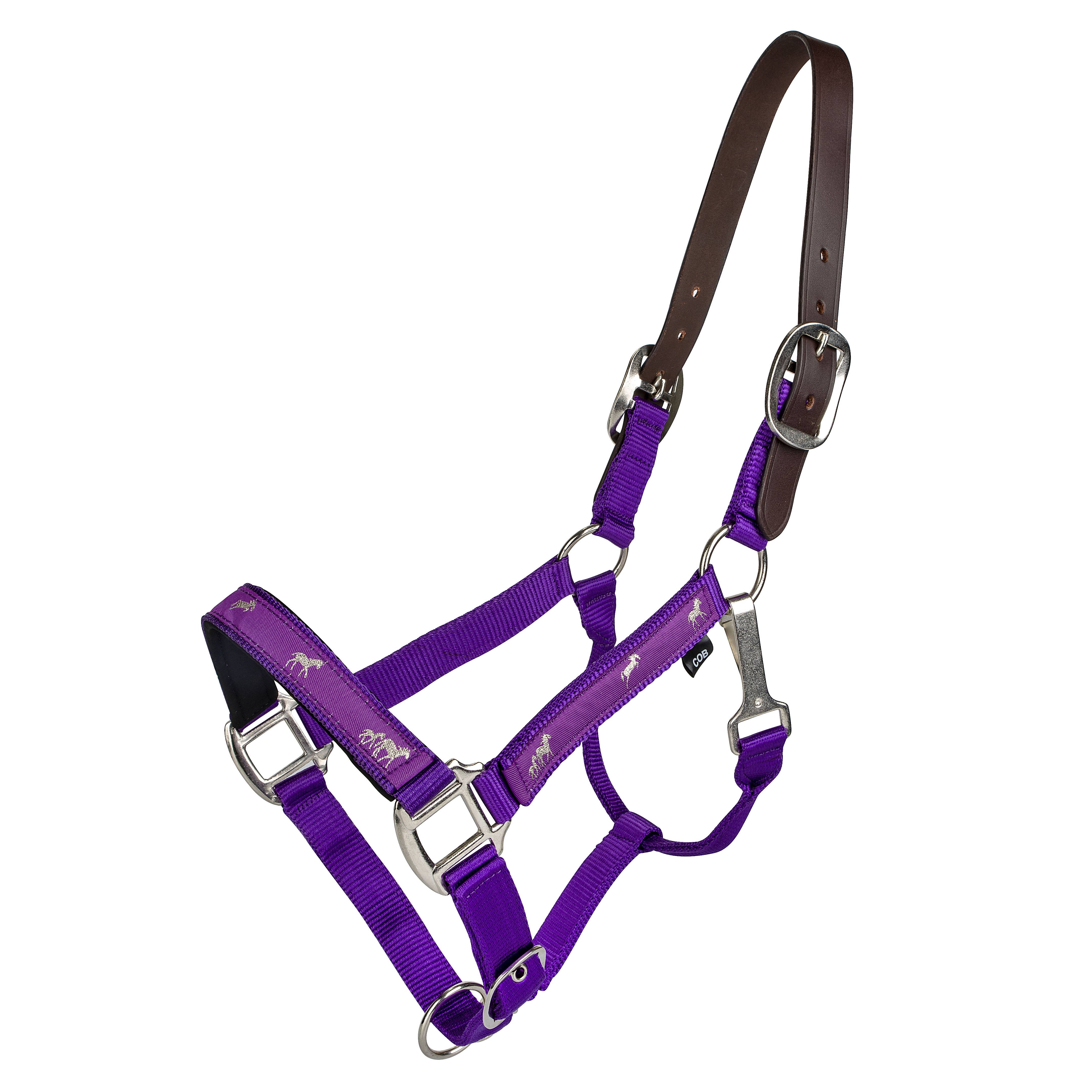 GATSBY LEATHER COMPANY Premiere Halter – Für Reitzubehör & Pferdebedarf