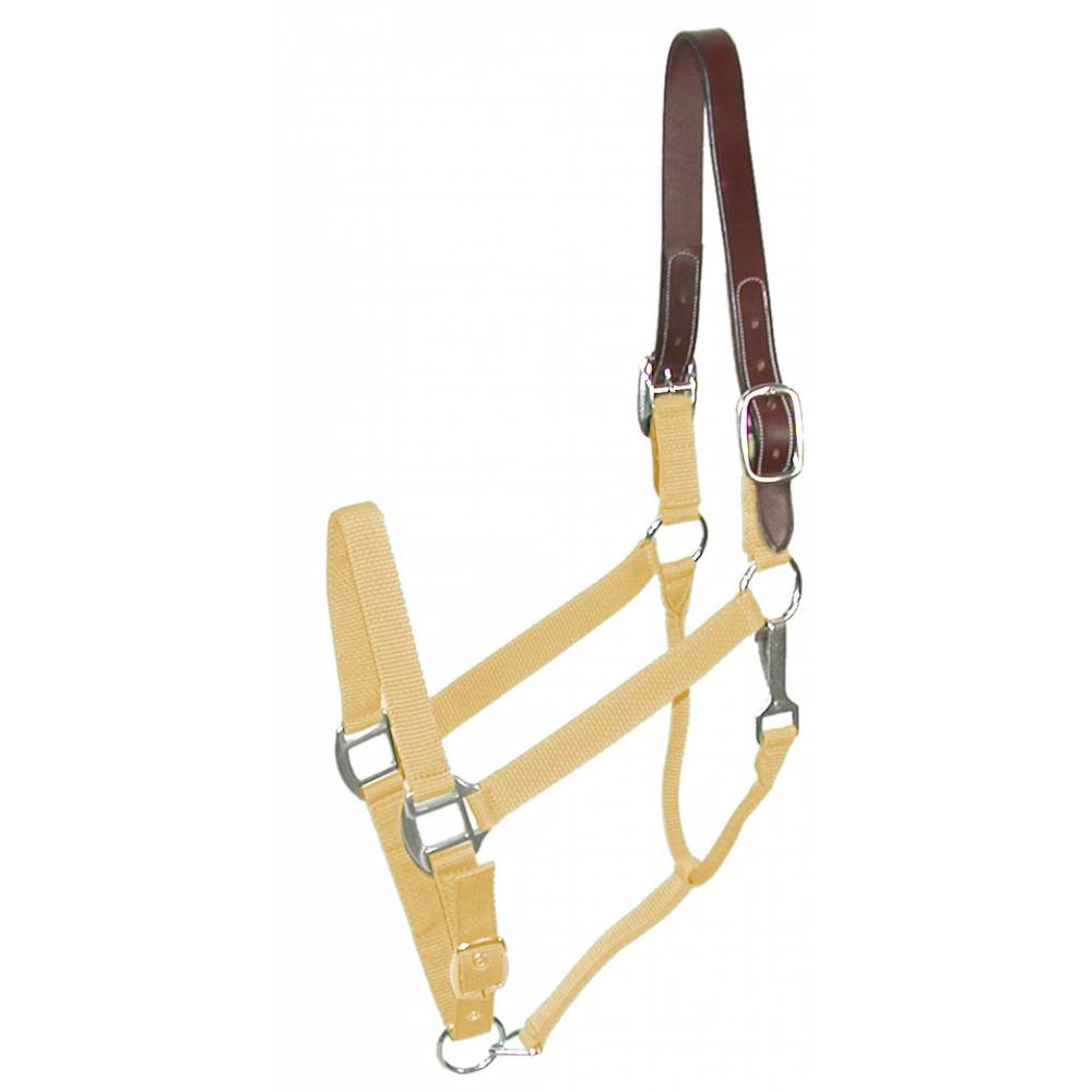 Gatsby Engraved Leather Halter with Snap