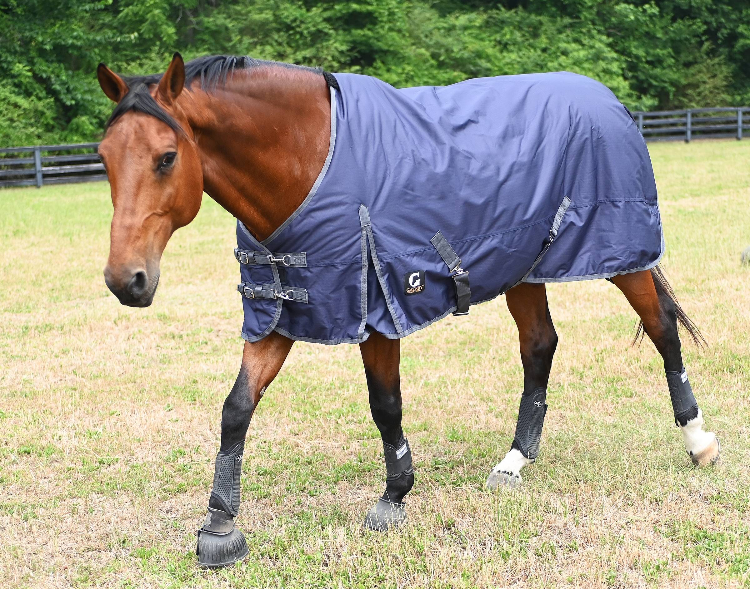 600D Mediumweight 200gm Waterproof Turnout Blanket