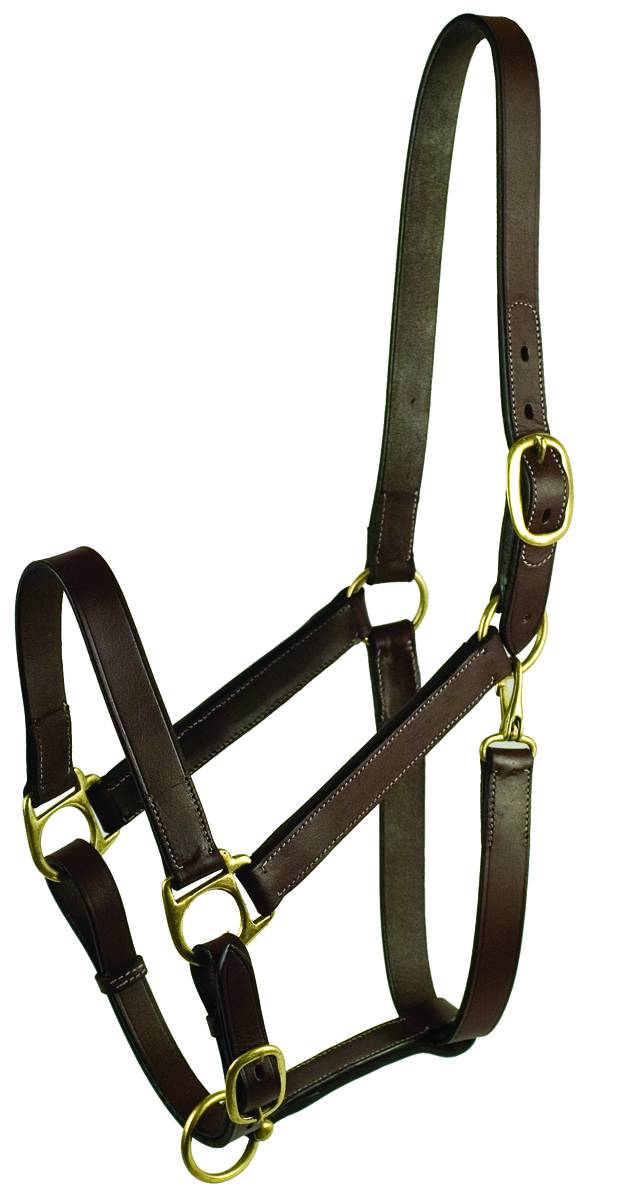 GATSBY Leather Adjustable Turnout Halter Without Snap Weanling Color Havana NEW 