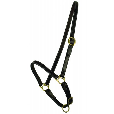  Grooming Halter