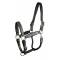 Padded Leather Halter Fully Adjustable
