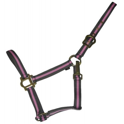  Classic 2-Tone Nylon Halter with Snap