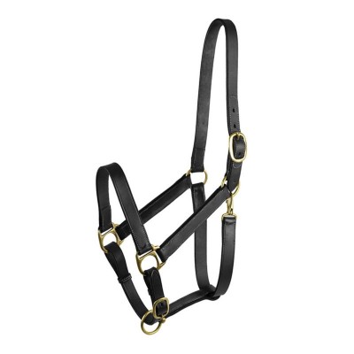  Adjustable Turnout Halter with Snap