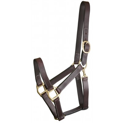  Track Style Turnout Halter with Snap