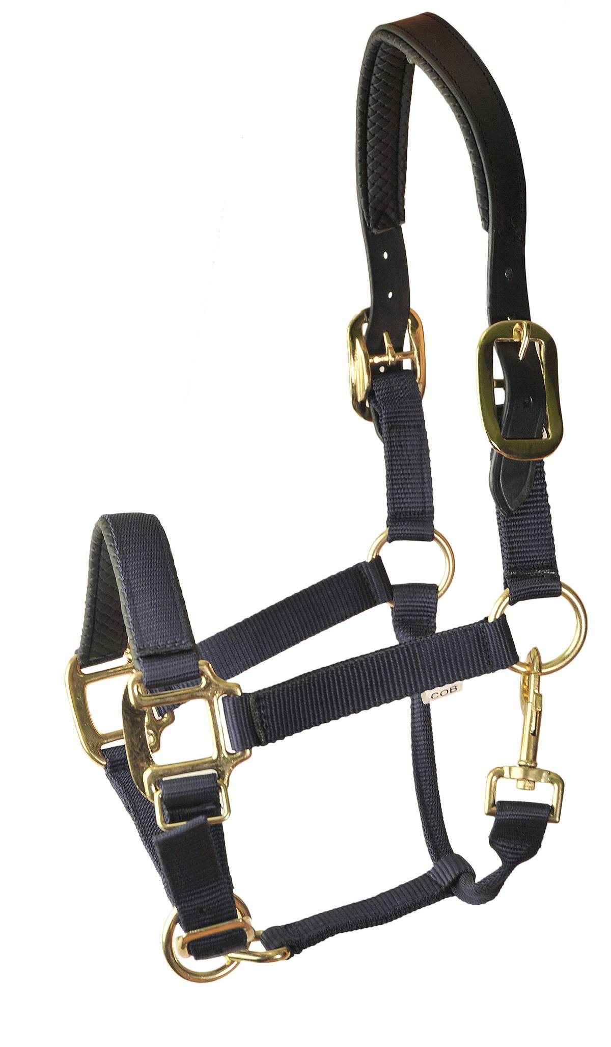 Licol Grand Modèle Gatsby En Nylon Violet Avec Longe – NEUF Pour Cheval